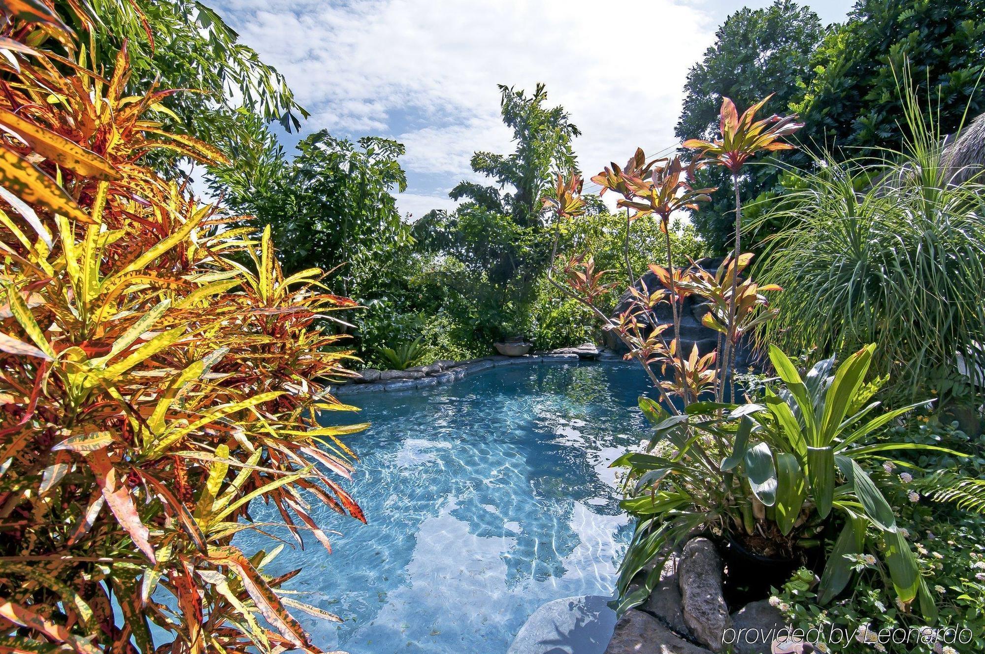 Manoa Valley Inn Honolulu Dış mekan fotoğraf