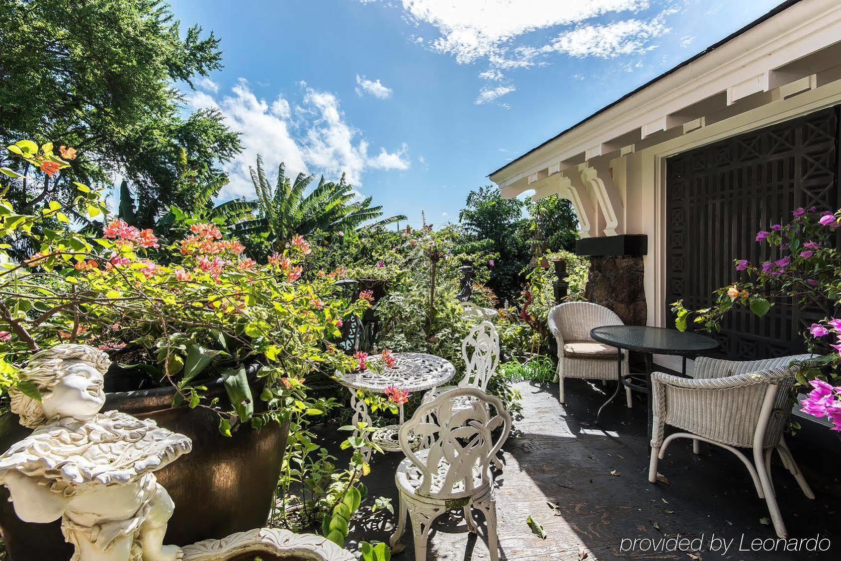 Manoa Valley Inn Honolulu Dış mekan fotoğraf